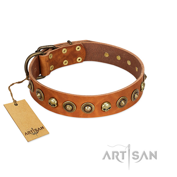 Full grain leather collar with incredible decorations for your pet
