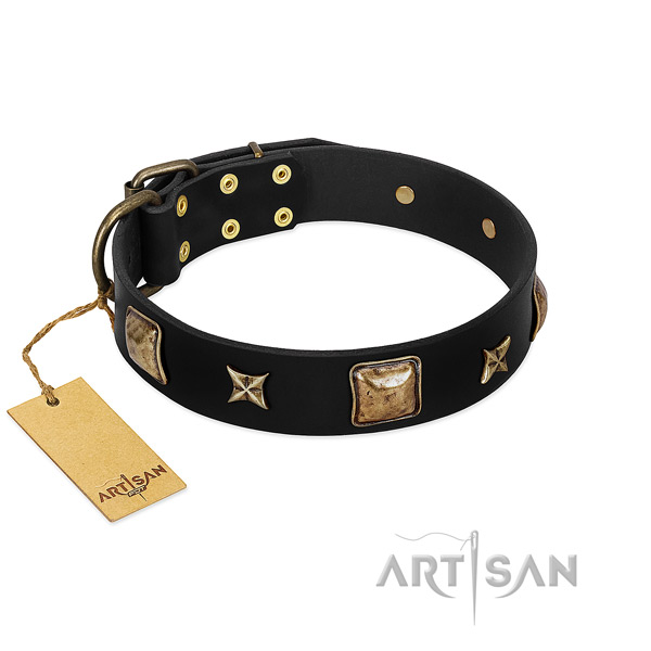 Full grain genuine leather dog collar of flexible material with extraordinary embellishments