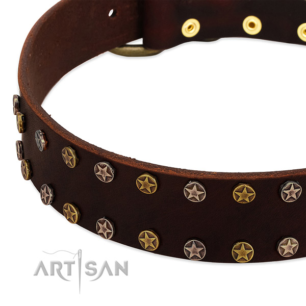 Fancy walking full grain genuine leather dog collar with stylish design studs