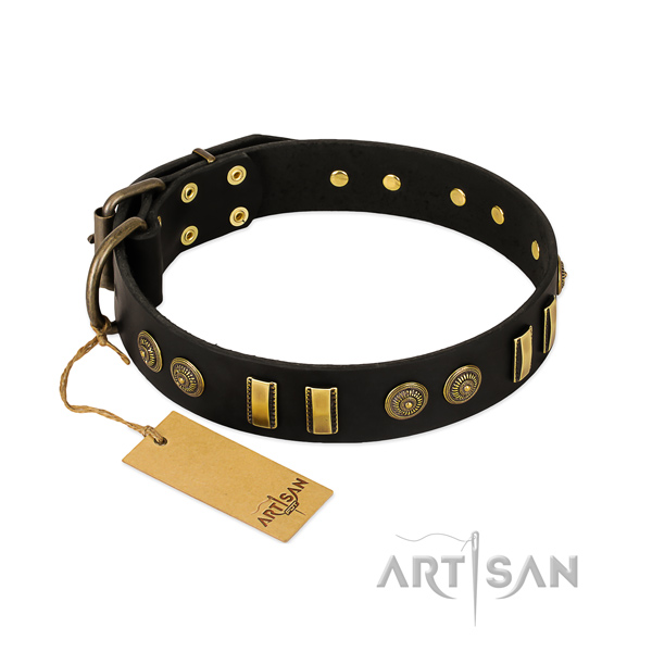Rust resistant fittings on natural leather dog collar for your four-legged friend