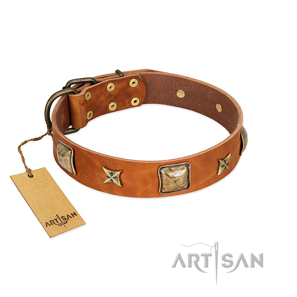 Extraordinary natural genuine leather collar for your doggie