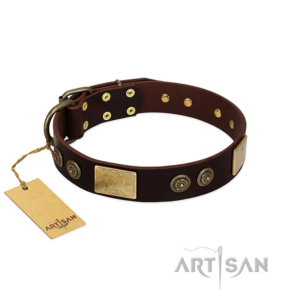 Strong embellishments on leather dog collar for your pet