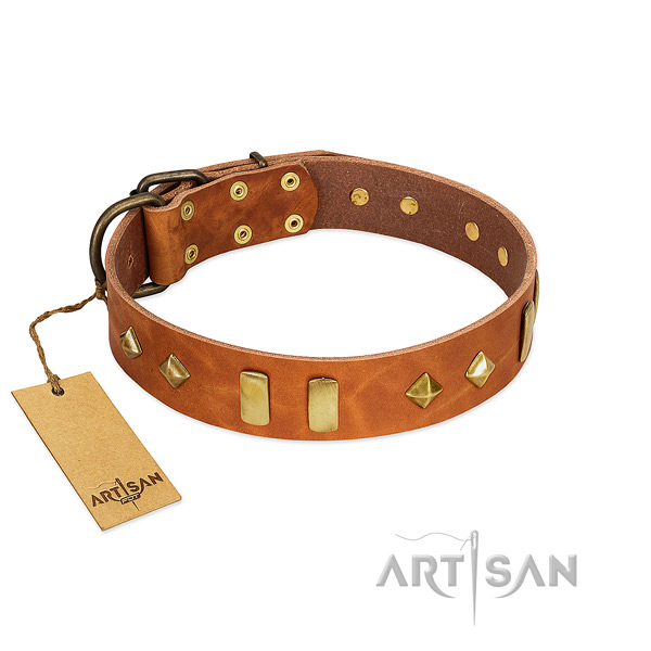 Comfortable wearing quality leather dog collar with adornments