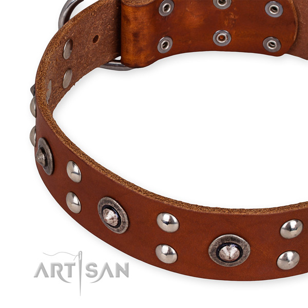 Genuine leather collar with reliable buckle for your lovely four-legged friend