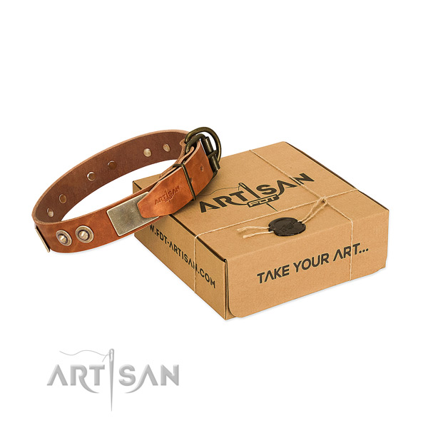 Rust resistant buckle on dog collar for daily use