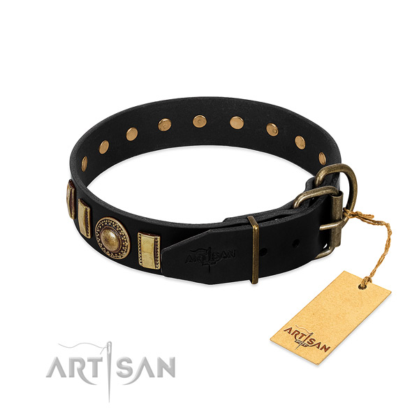 Quality natural leather dog collar with embellishments