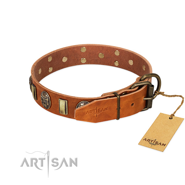Genuine leather dog collar with durable hardware and embellishments