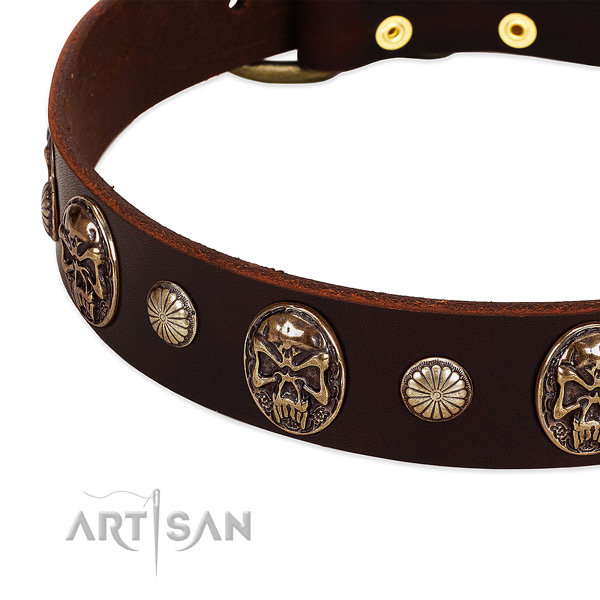Full grain leather dog collar with studs for comfy wearing