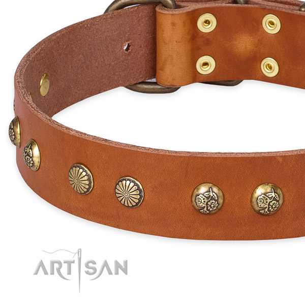 Leather collar with corrosion proof buckle for your attractive canine