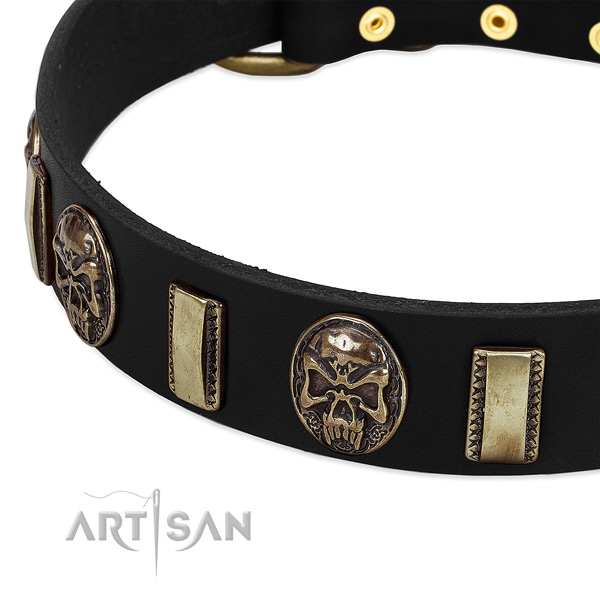 Strong traditional buckle on full grain genuine leather dog collar for your canine