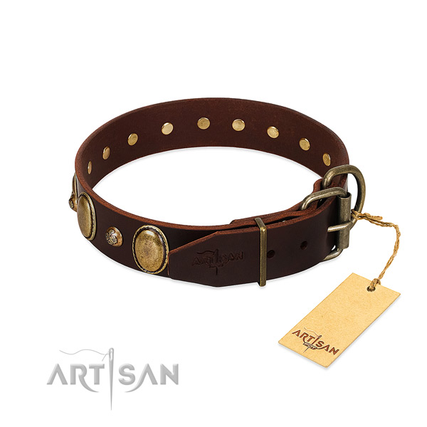 Rust-proof buckle on natural genuine leather collar for basic training your canine