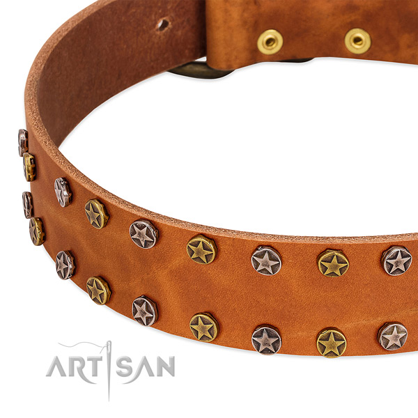 Daily use natural leather dog collar with unusual adornments