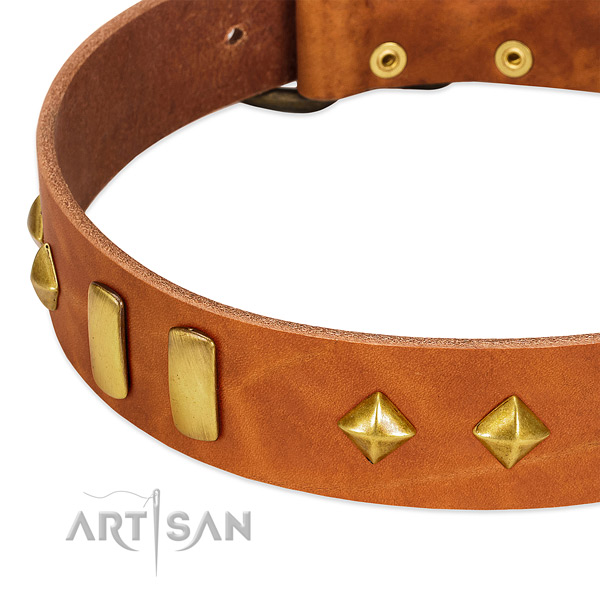 Easy wearing full grain leather dog collar with designer decorations
