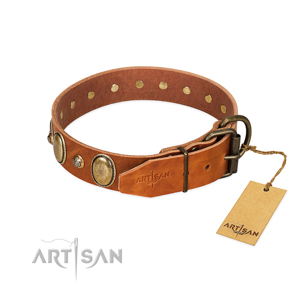 Incredible genuine leather dog collar with strong hardware