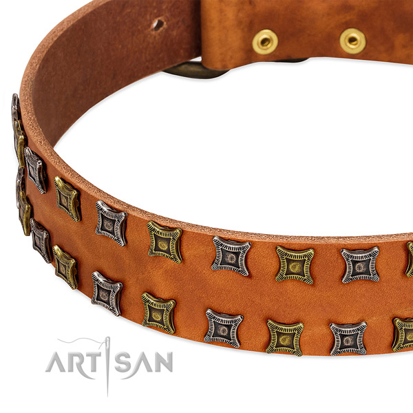 High quality leather dog collar for your impressive canine