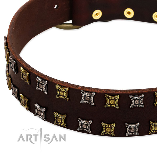 High quality full grain natural leather dog collar for your stylish doggie