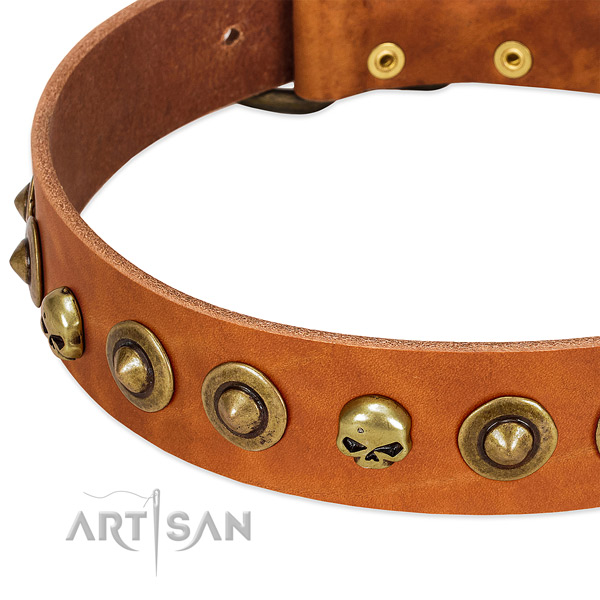 Trendy adornments on full grain genuine leather collar for your dog