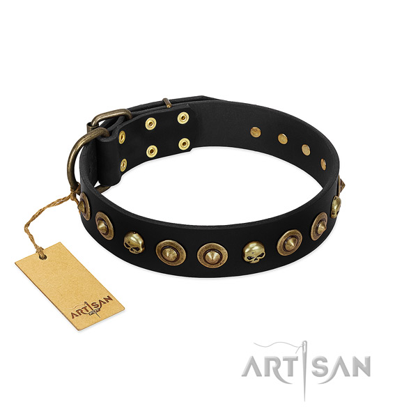 Leather collar with top notch decorations for your doggie