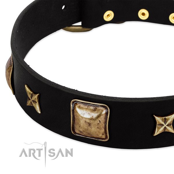 Genuine leather dog collar with exceptional decorations