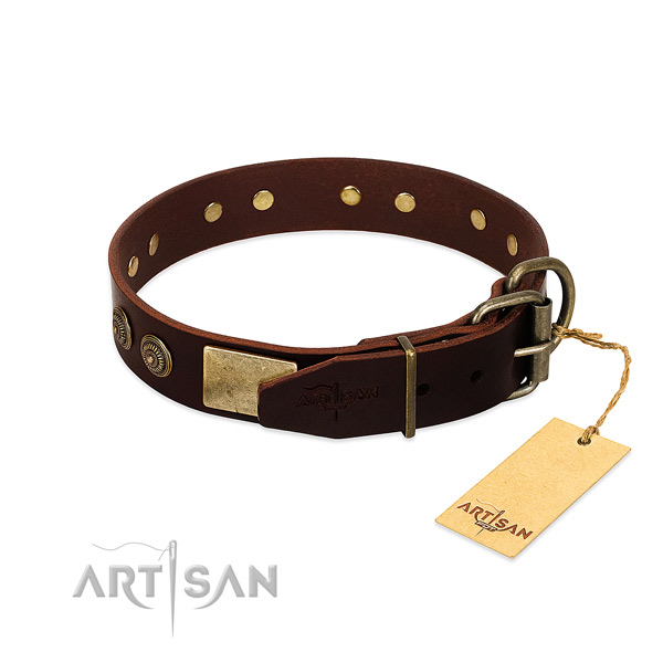 Corrosion resistant buckle on leather dog collar for your four-legged friend