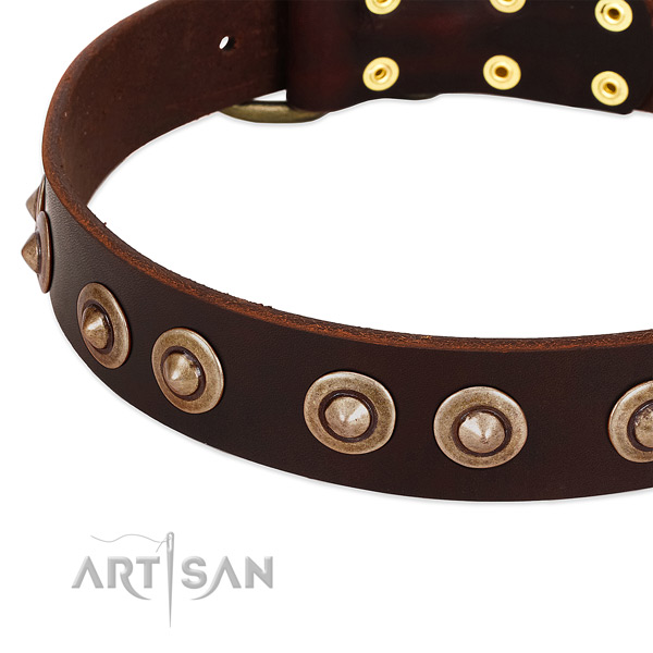 Reliable decorations on full grain genuine leather dog collar for your canine