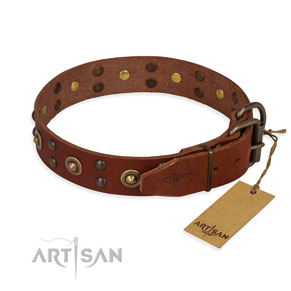 Corrosion resistant traditional buckle on genuine leather collar for your beautiful four-legged friend