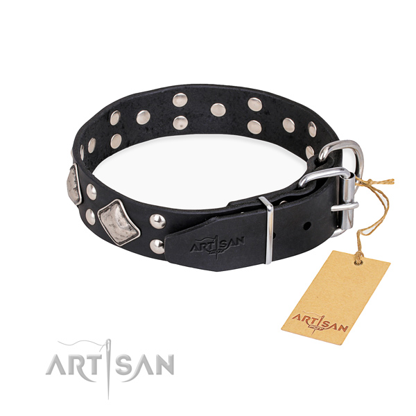 Full grain leather dog collar with remarkable strong adornments