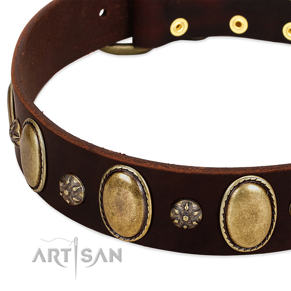 Easy wearing top notch full grain leather dog collar