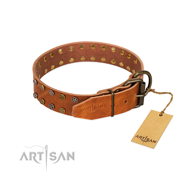 Stylish walking full grain genuine leather dog collar with trendy embellishments
