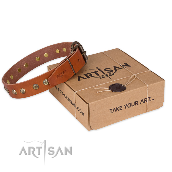Rust-proof buckle on leather collar for your attractive canine
