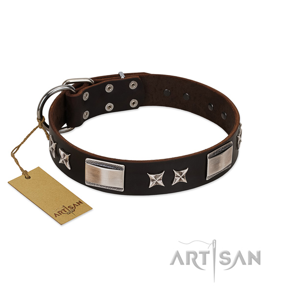 Studded dog collar of full grain natural leather