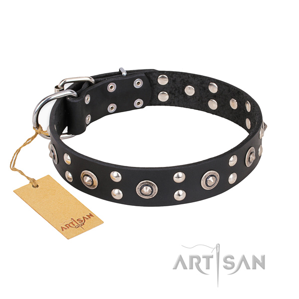 Walking inimitable dog collar with reliable traditional buckle