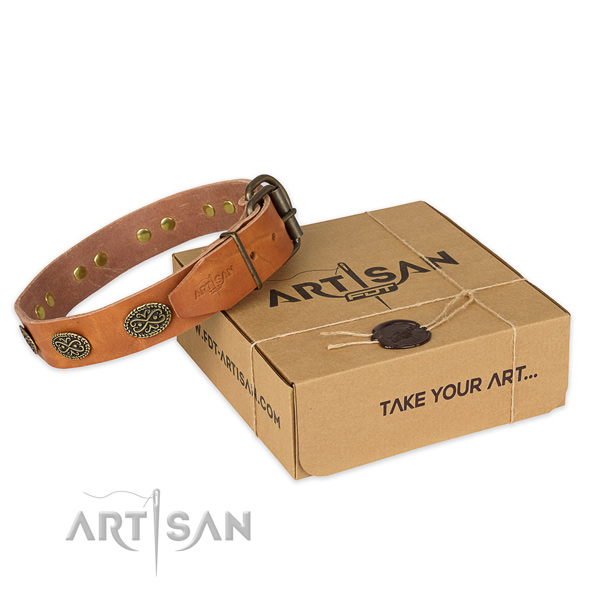 Rust resistant traditional buckle on natural genuine leather collar for your beautiful dog