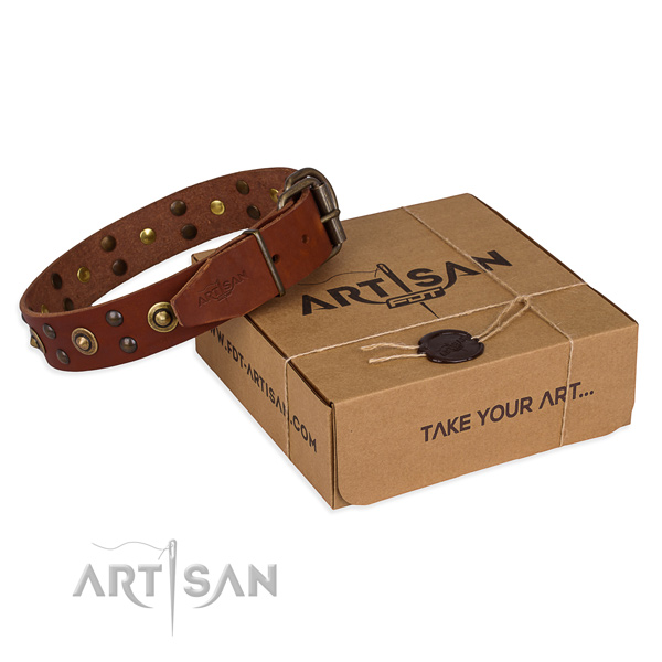 Corrosion proof buckle on full grain natural leather collar for your impressive canine