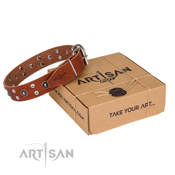 Rust resistant fittings on full grain leather collar for your lovely four-legged friend