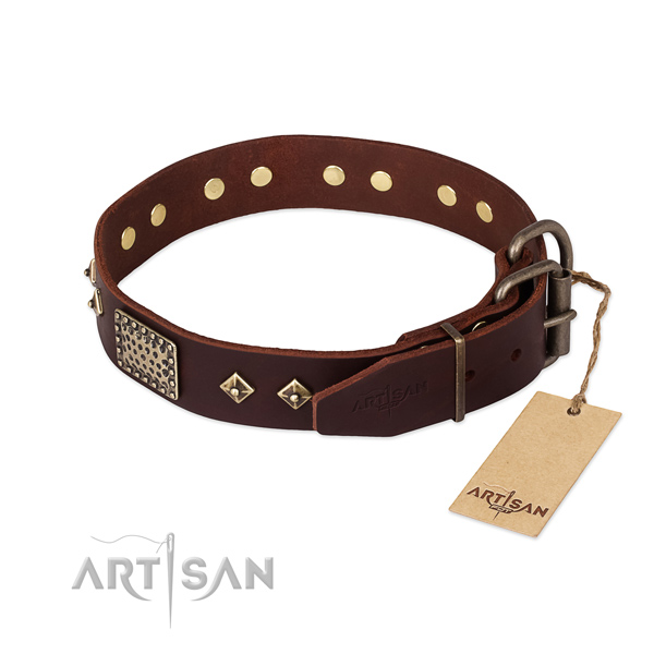 Full grain leather dog collar with rust-proof buckle and adornments