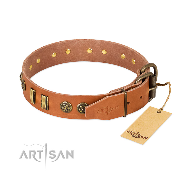 Corrosion resistant decorations on natural leather dog collar for your four-legged friend