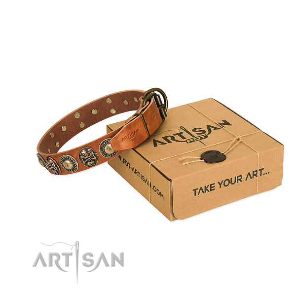 Rust-proof traditional buckle on dog collar for everyday use