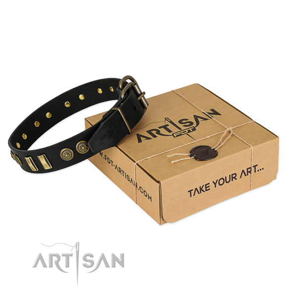 Corrosion proof adornments on natural leather dog collar for your doggie