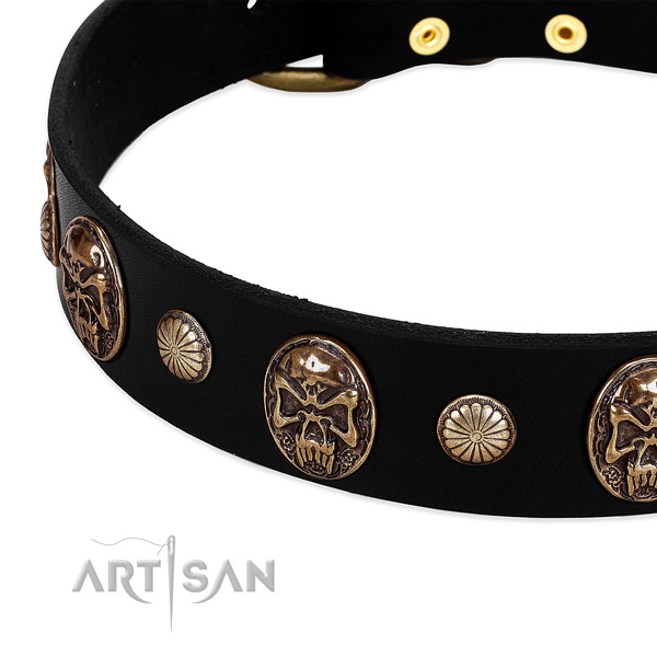Leather dog collar with inimitable embellishments