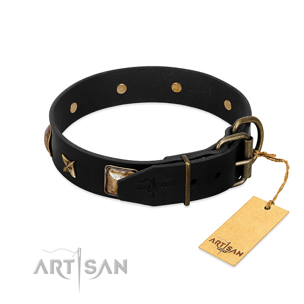Durable fittings on leather collar for daily walking your canine