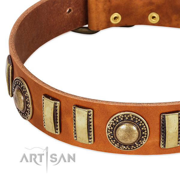 Flexible full grain leather dog collar with durable traditional buckle