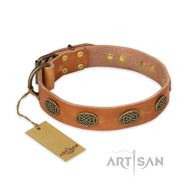Studded full grain genuine leather dog collar with strong fittings