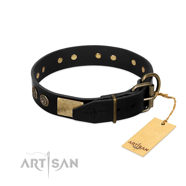 Rust-proof adornments on genuine leather dog collar for your canine