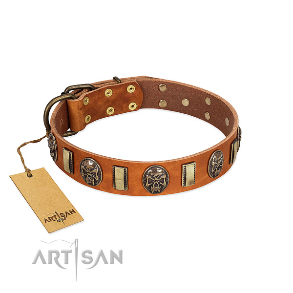 Adorned full grain natural leather dog collar for everyday walking