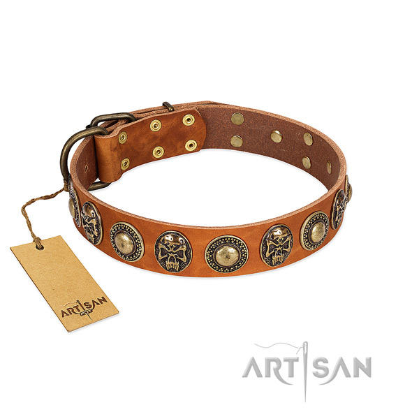 Easy wearing natural leather dog collar for everyday walking your canine
