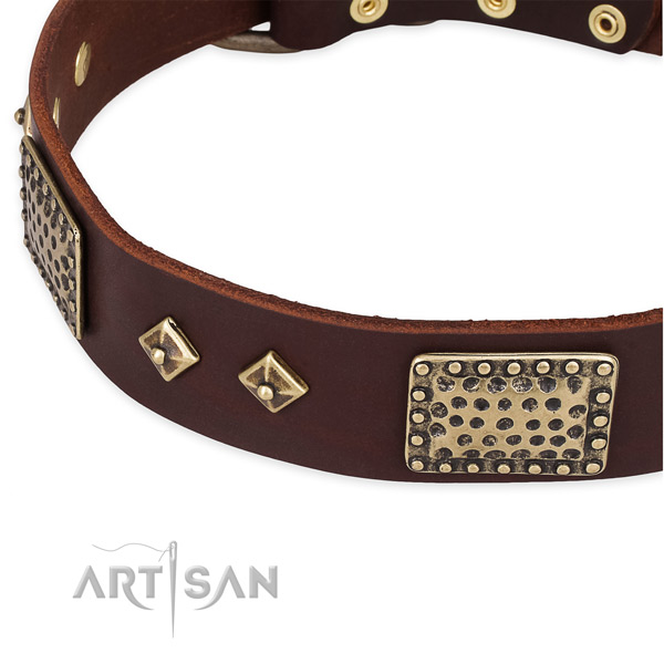 Corrosion resistant studs on genuine leather dog collar for your four-legged friend