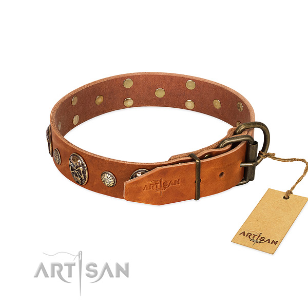 Corrosion proof buckle on genuine leather collar for fancy walking your canine
