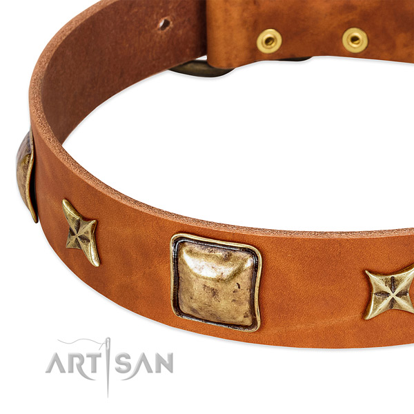 Rust-proof hardware on full grain leather dog collar for your four-legged friend