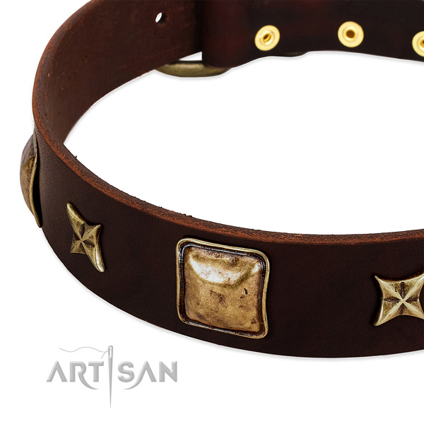 Corrosion proof fittings on full grain natural leather dog collar for your pet